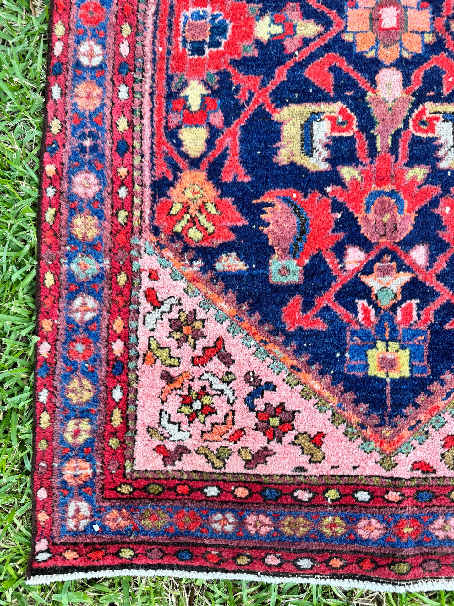 Wylder (13’6” x 3’3”)