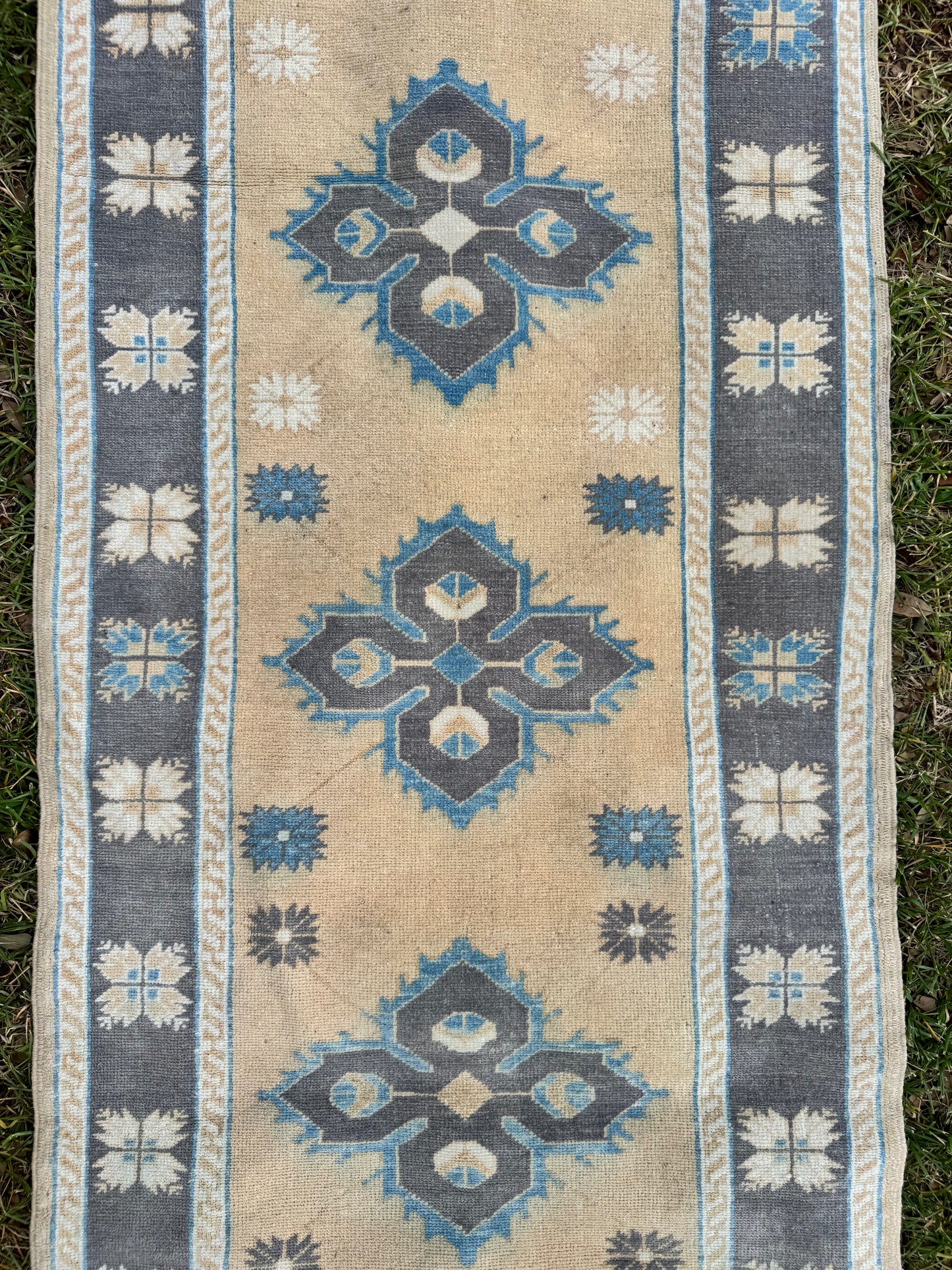 Olly (2’11” x 11’9”)