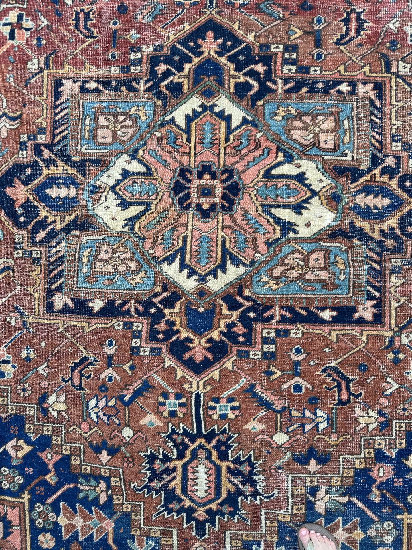 Nova (8’5” x 10’)