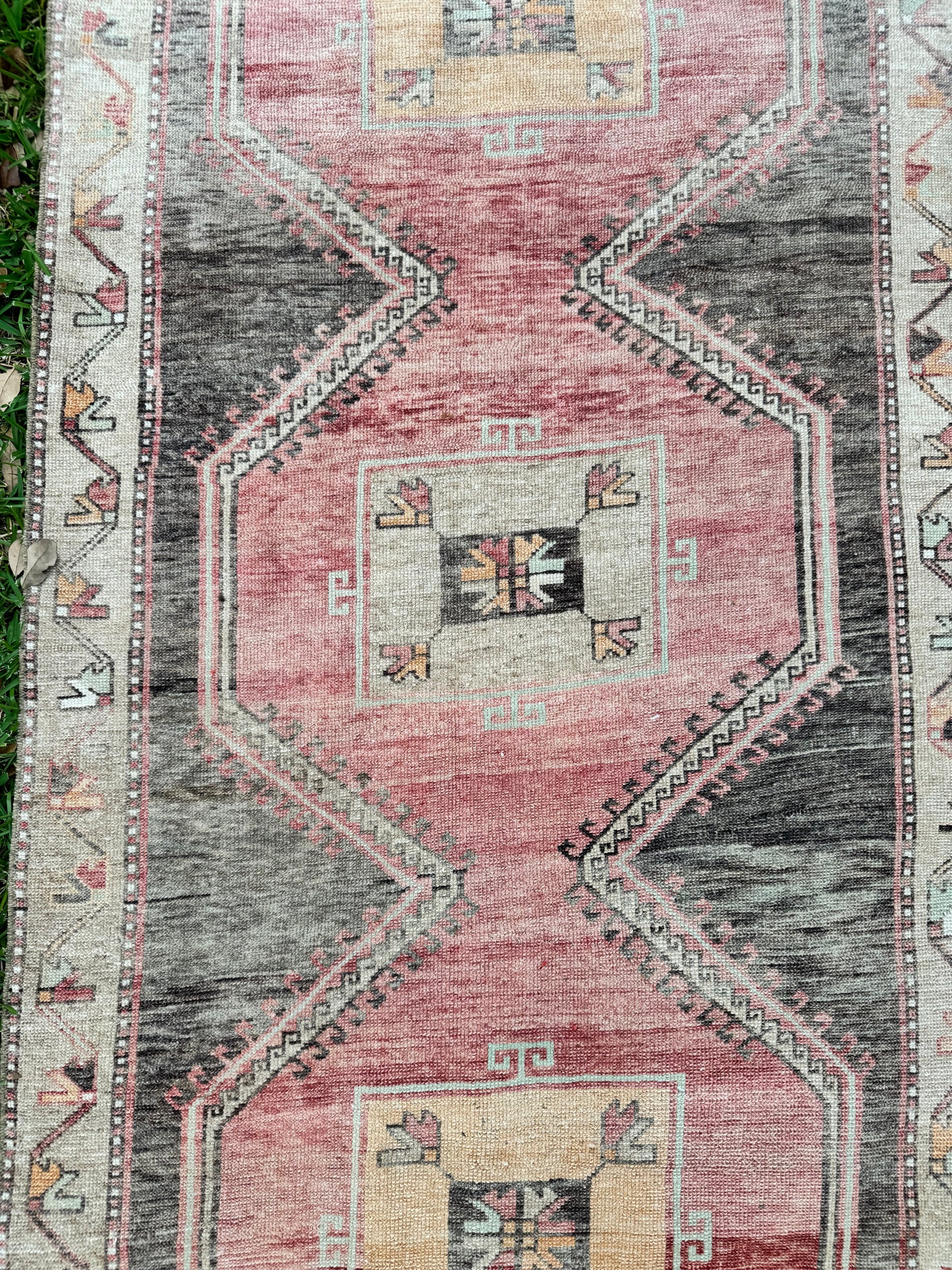 Owen (3’8” x 14’2”)