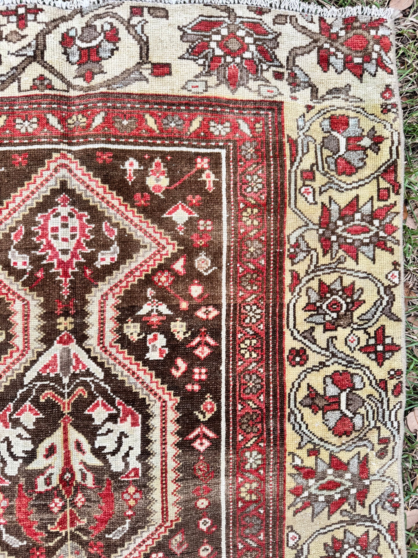 Claire (3’3” x 11’5”)