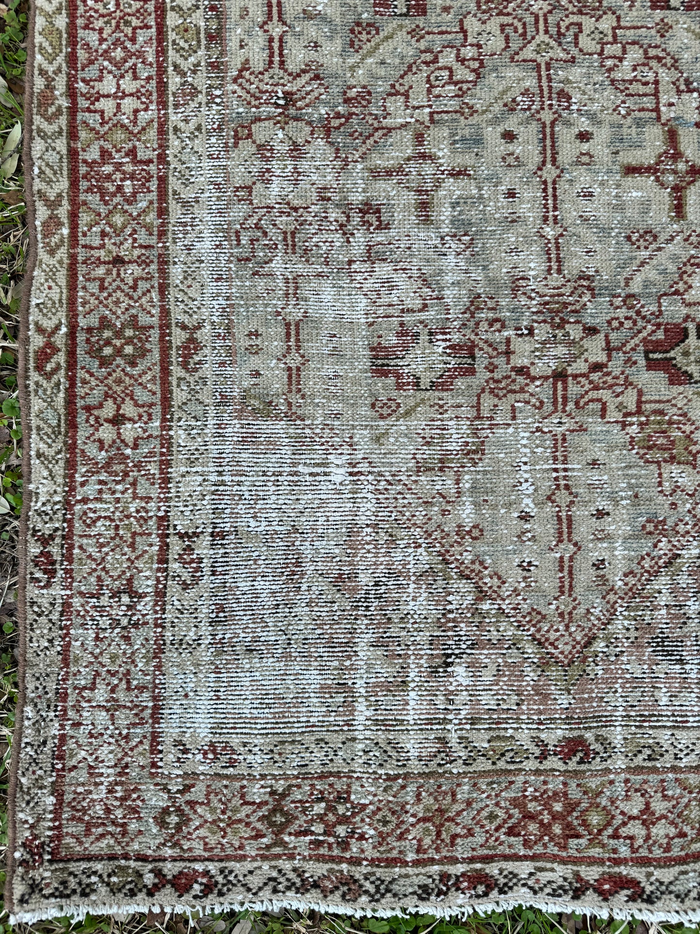 Louis (3’3” x 11’8”)