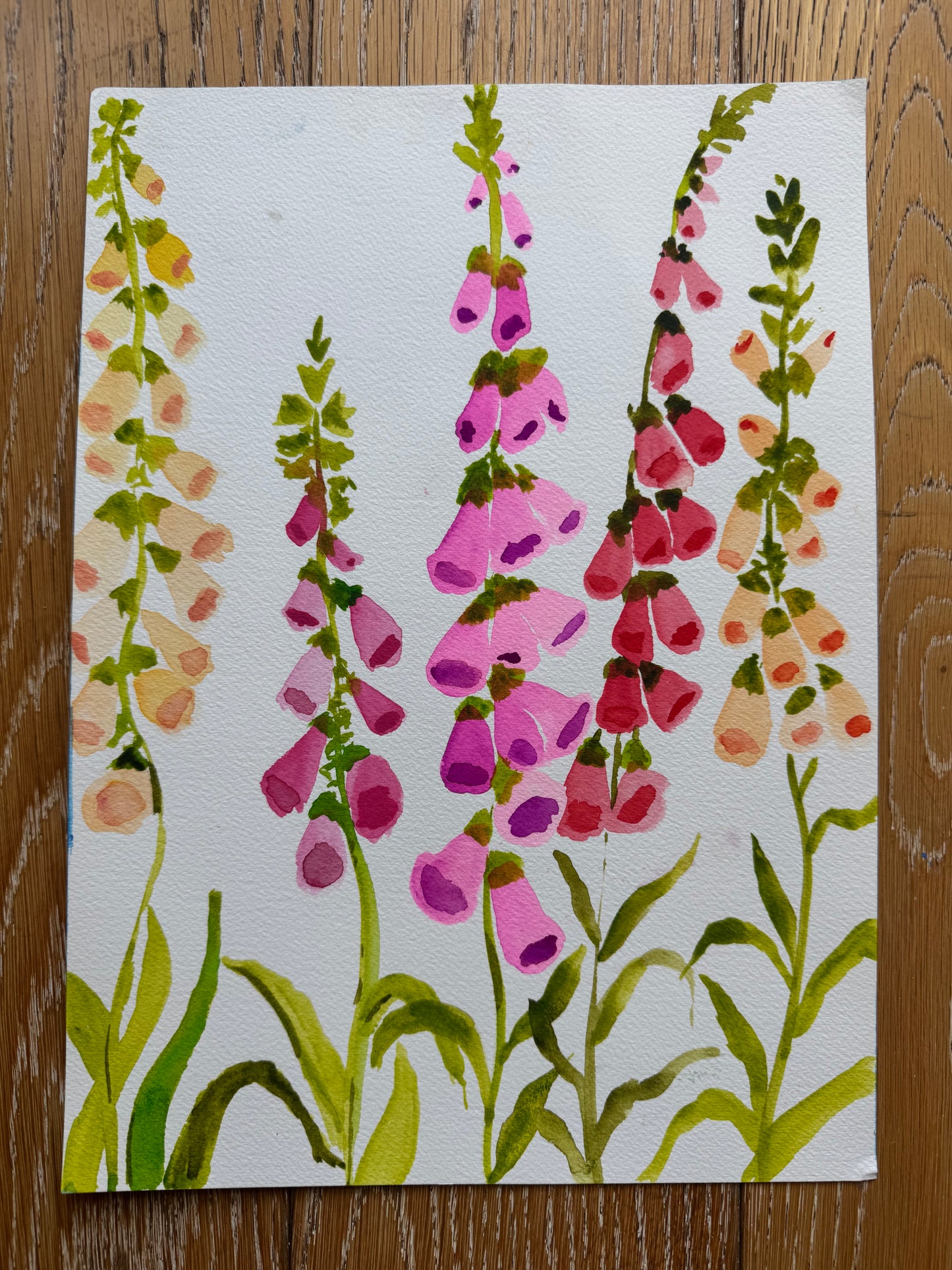 Watercolor 5 (10” x 14”)