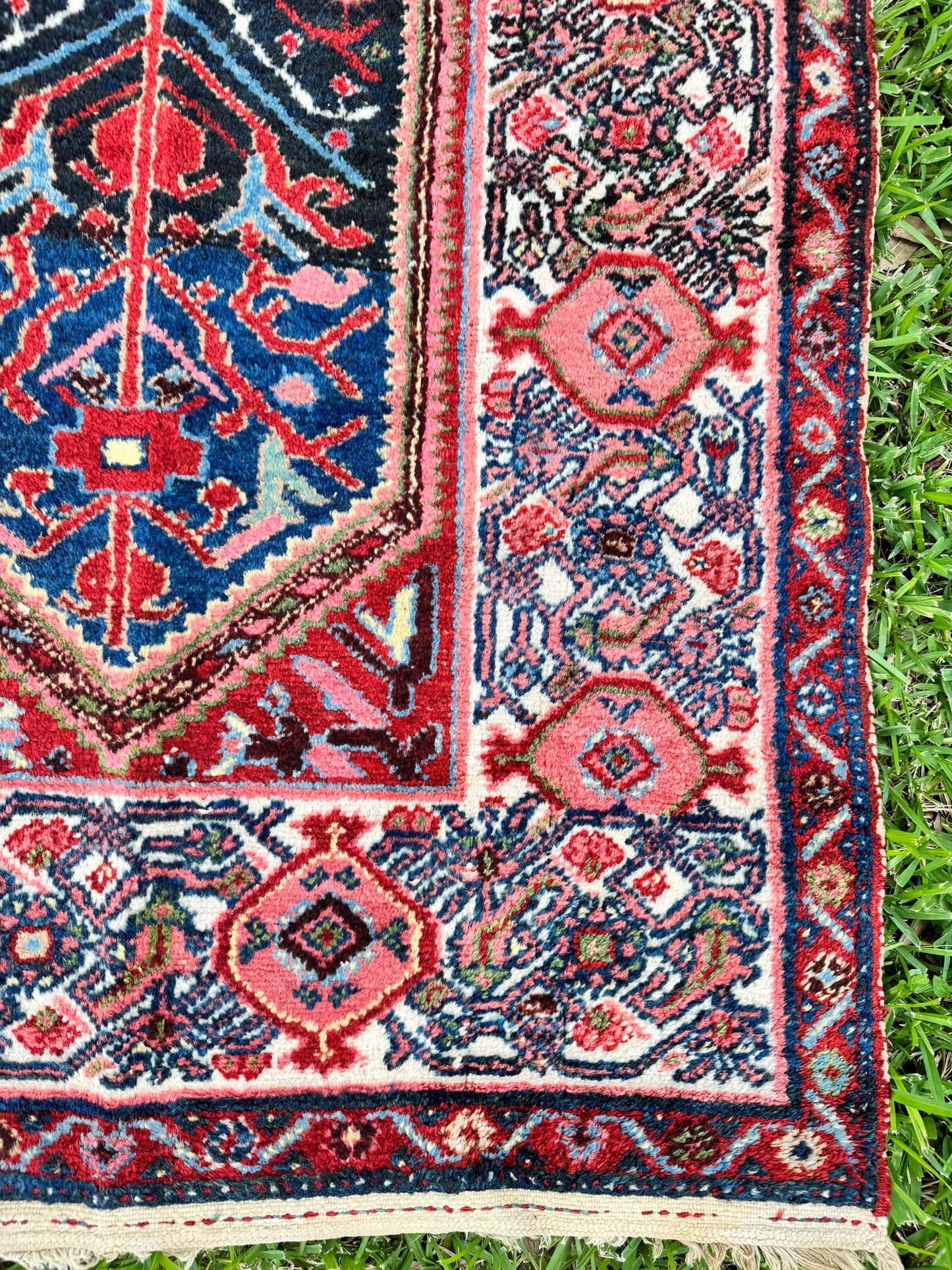 Astrid (13’5” x 3’6”)