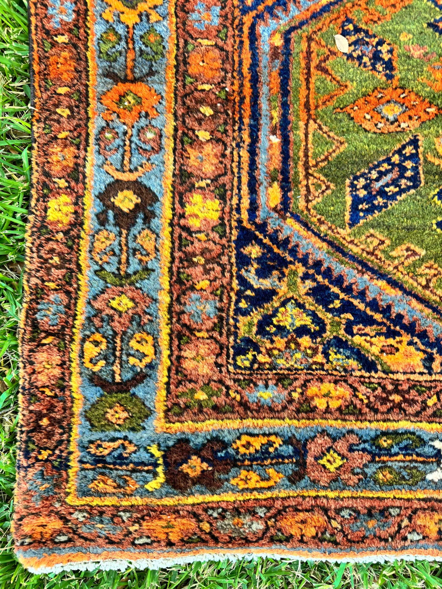 Leo (3’10” x 9’11”)