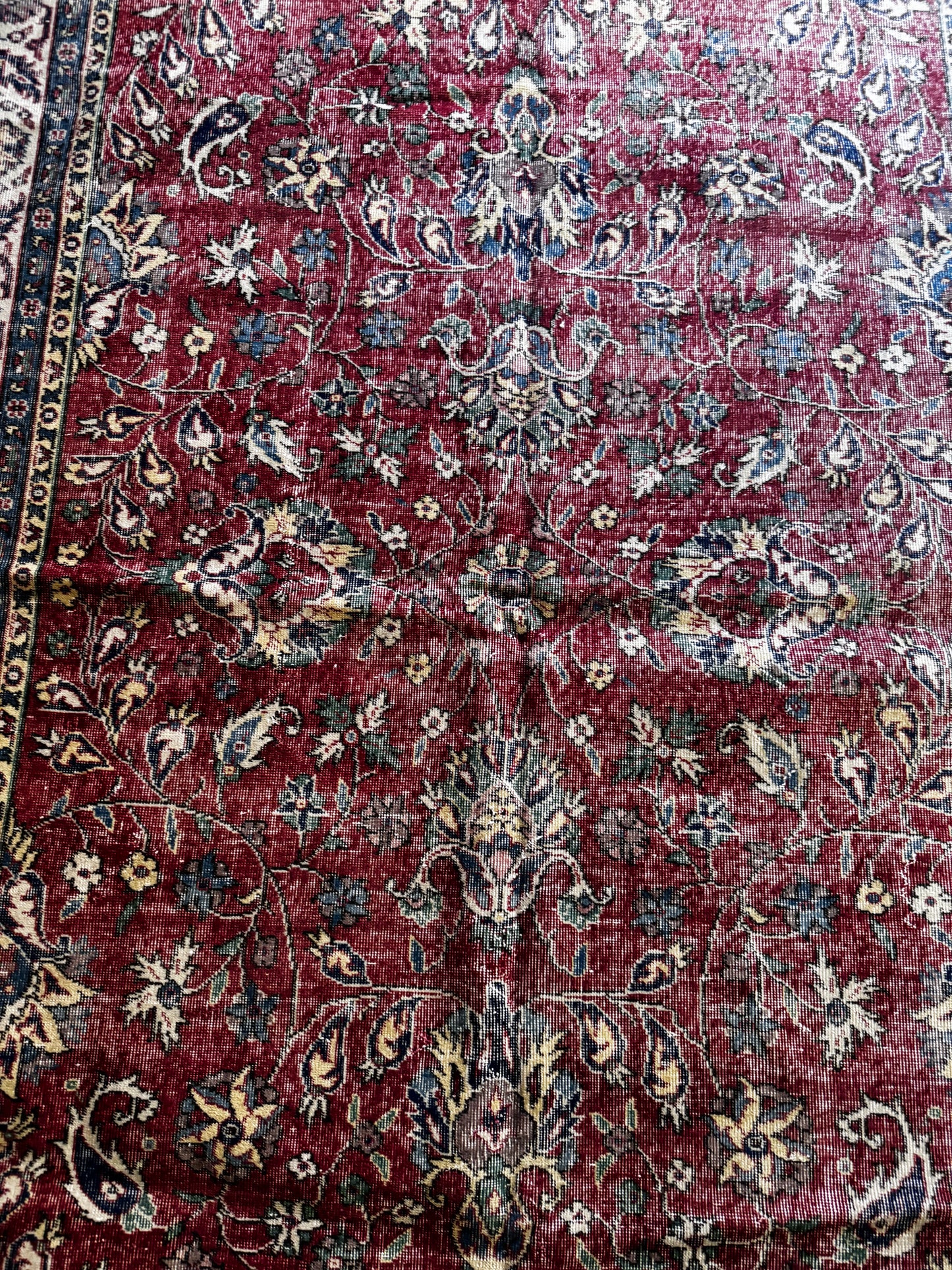 Frieda (7’2” x 10’5”)