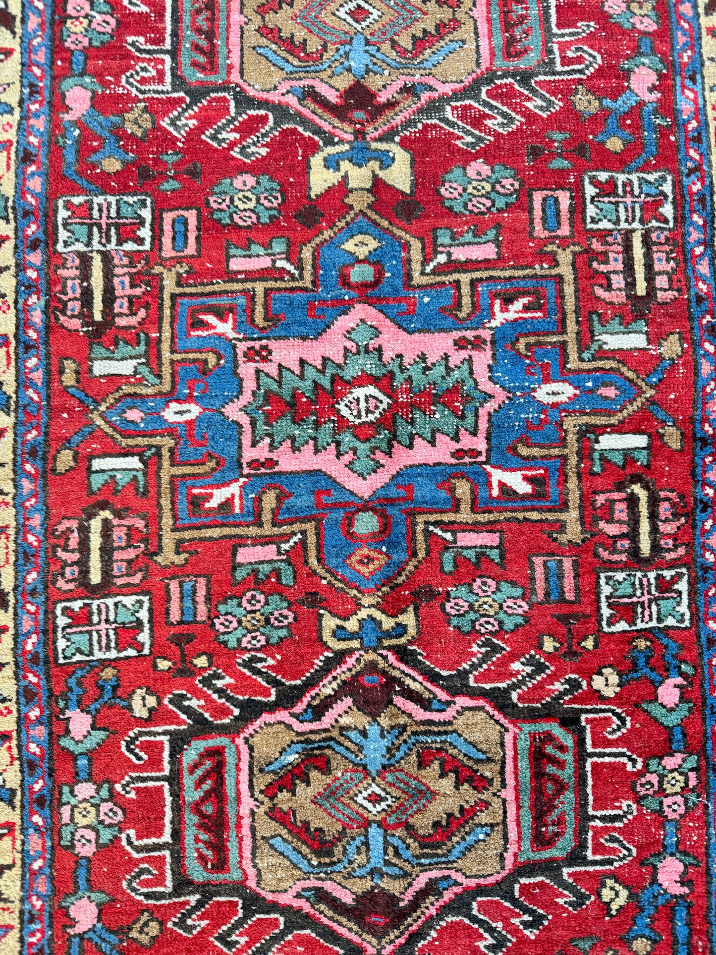 Jayne (2’10” x 4’4”)