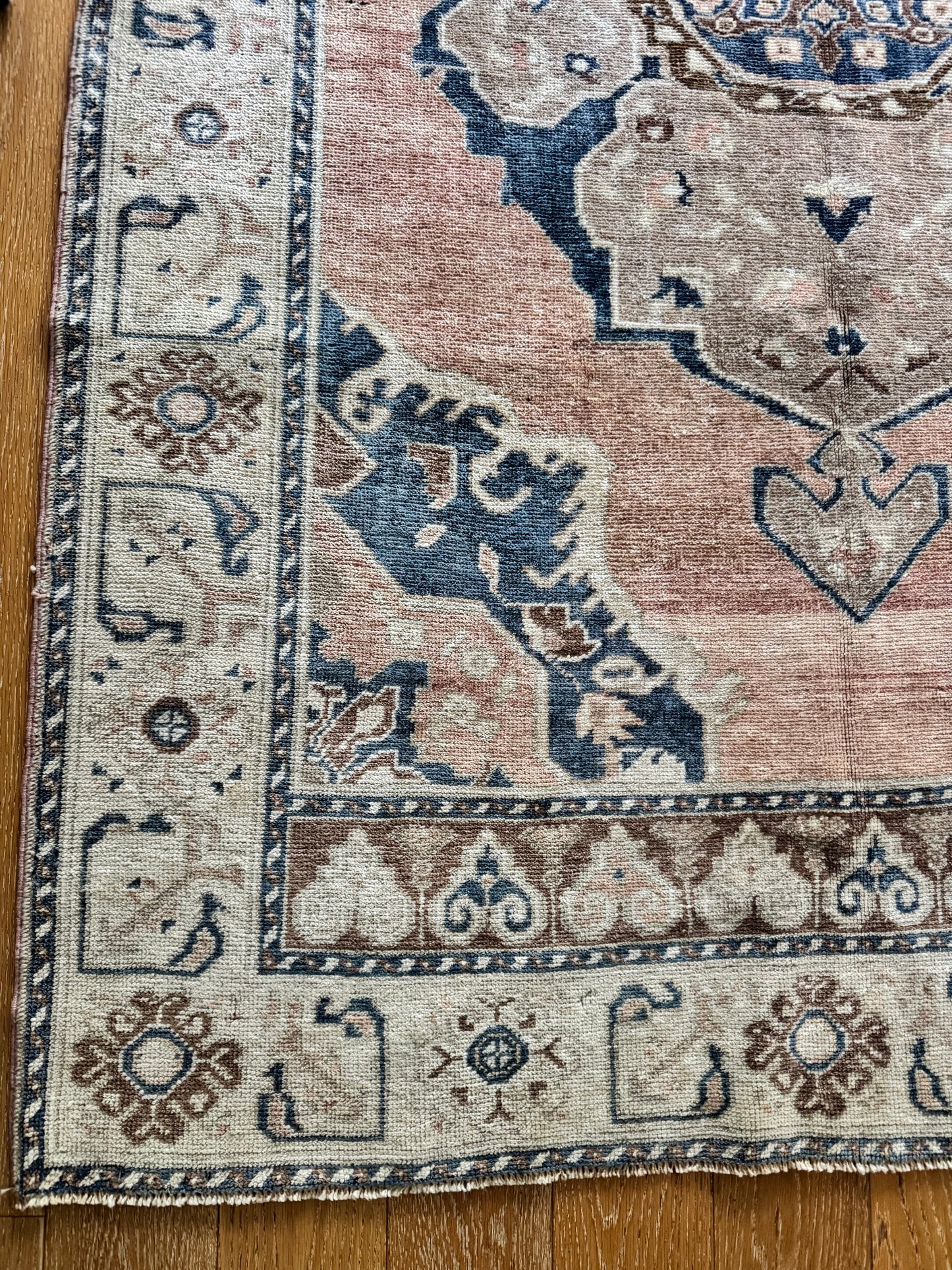 Duke (5’1” x 10’7”)