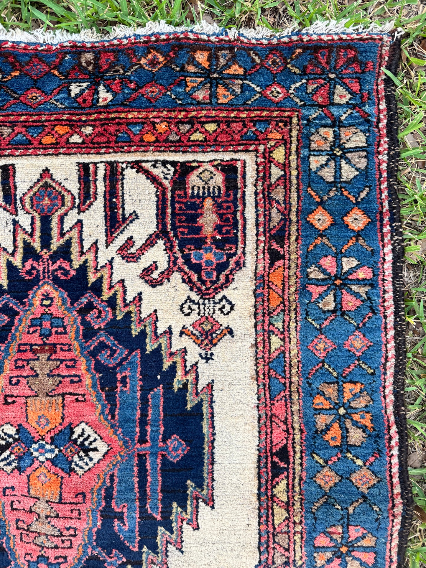 Tiger (16’8” x 3’4”)