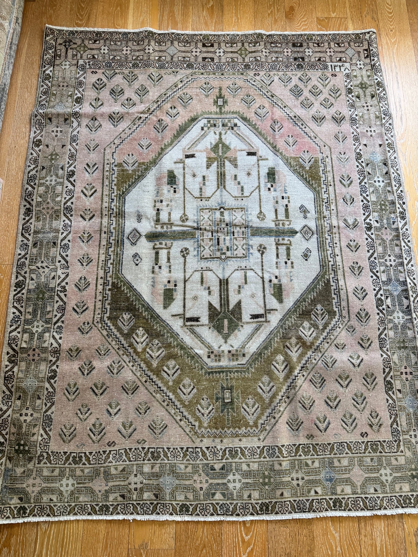 Olive (5’ x 6’5”)