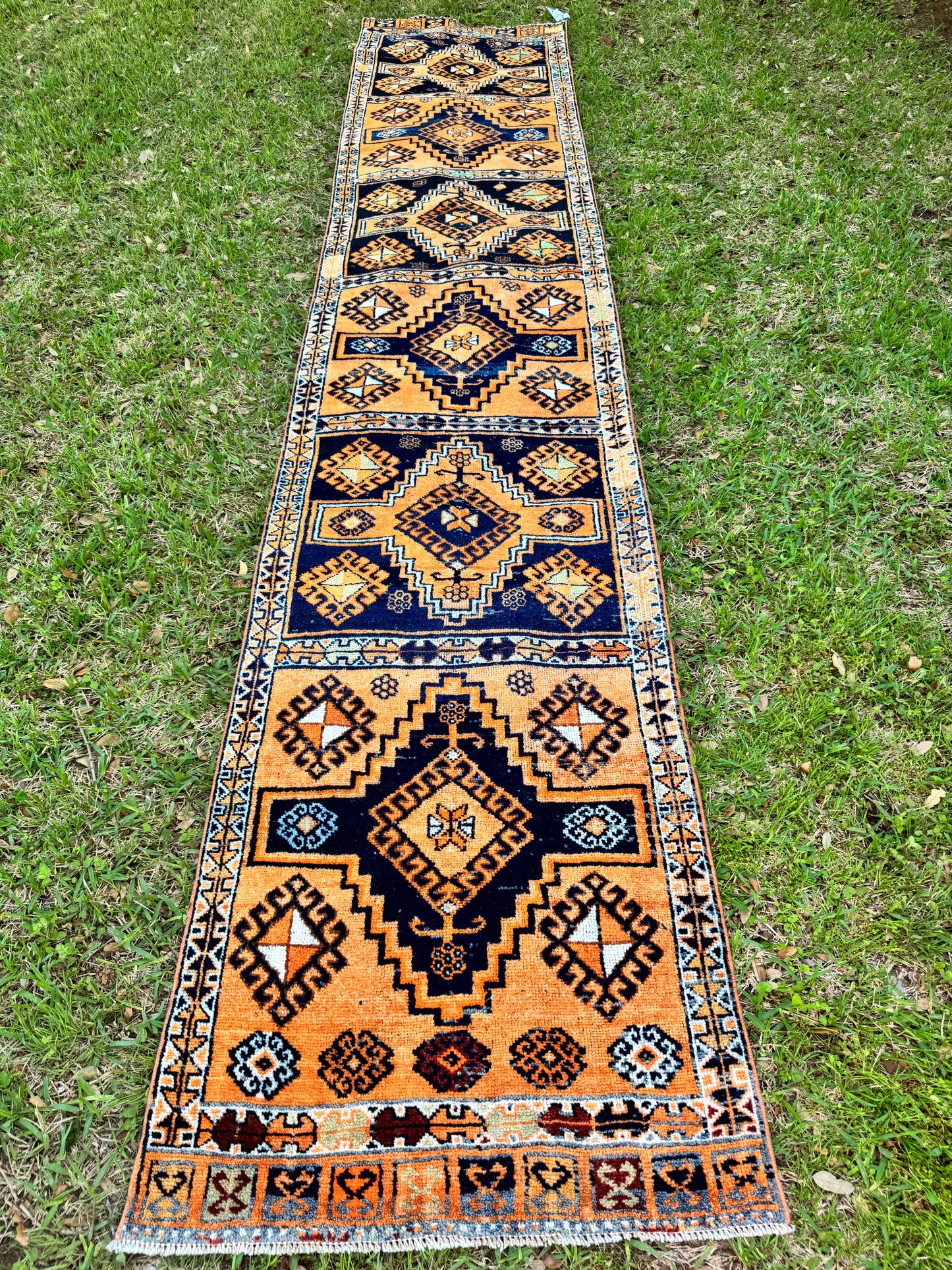 Mikael (2’10” x 14’2”)