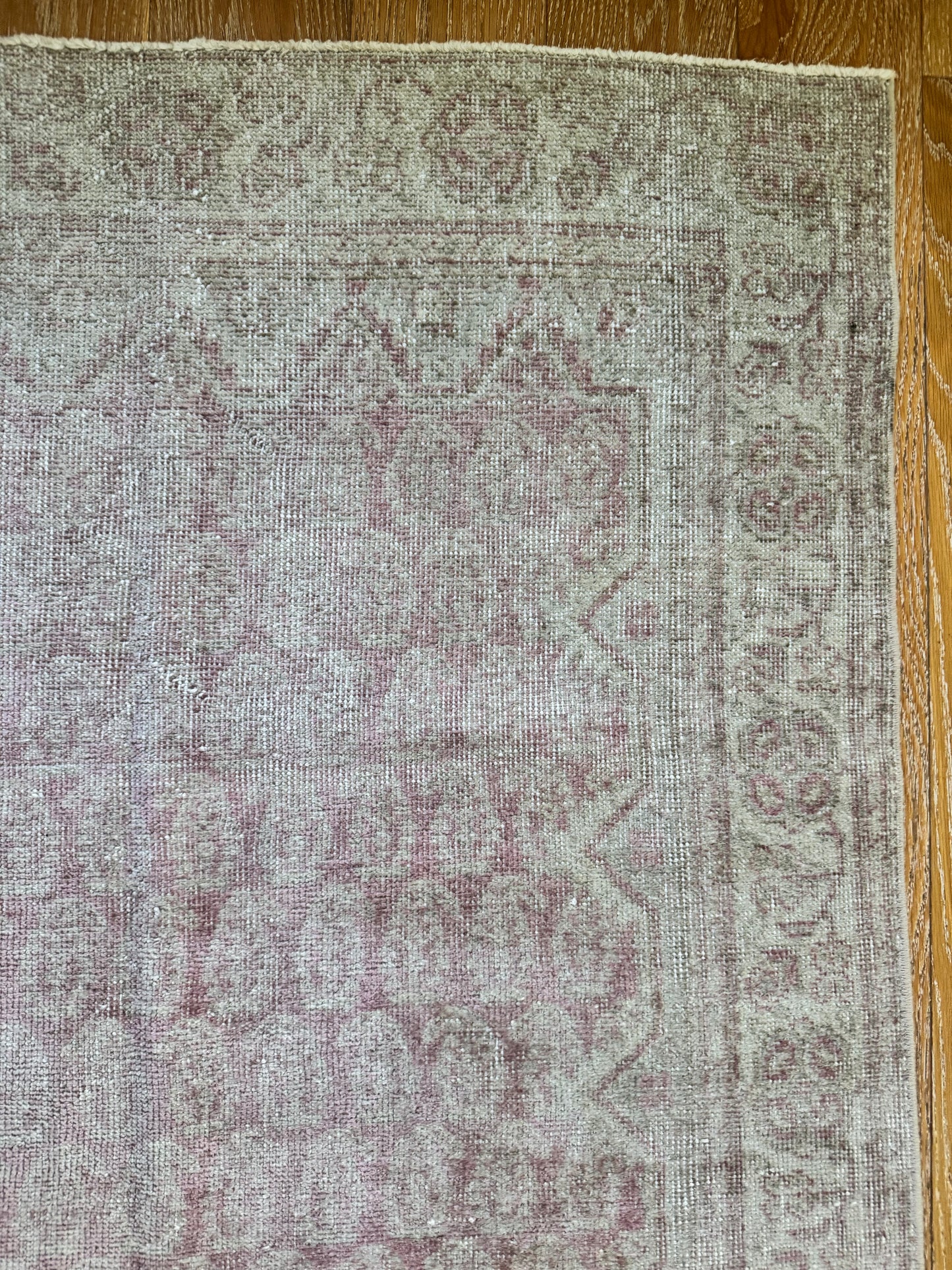 Anne (3’9” x 6’4”)