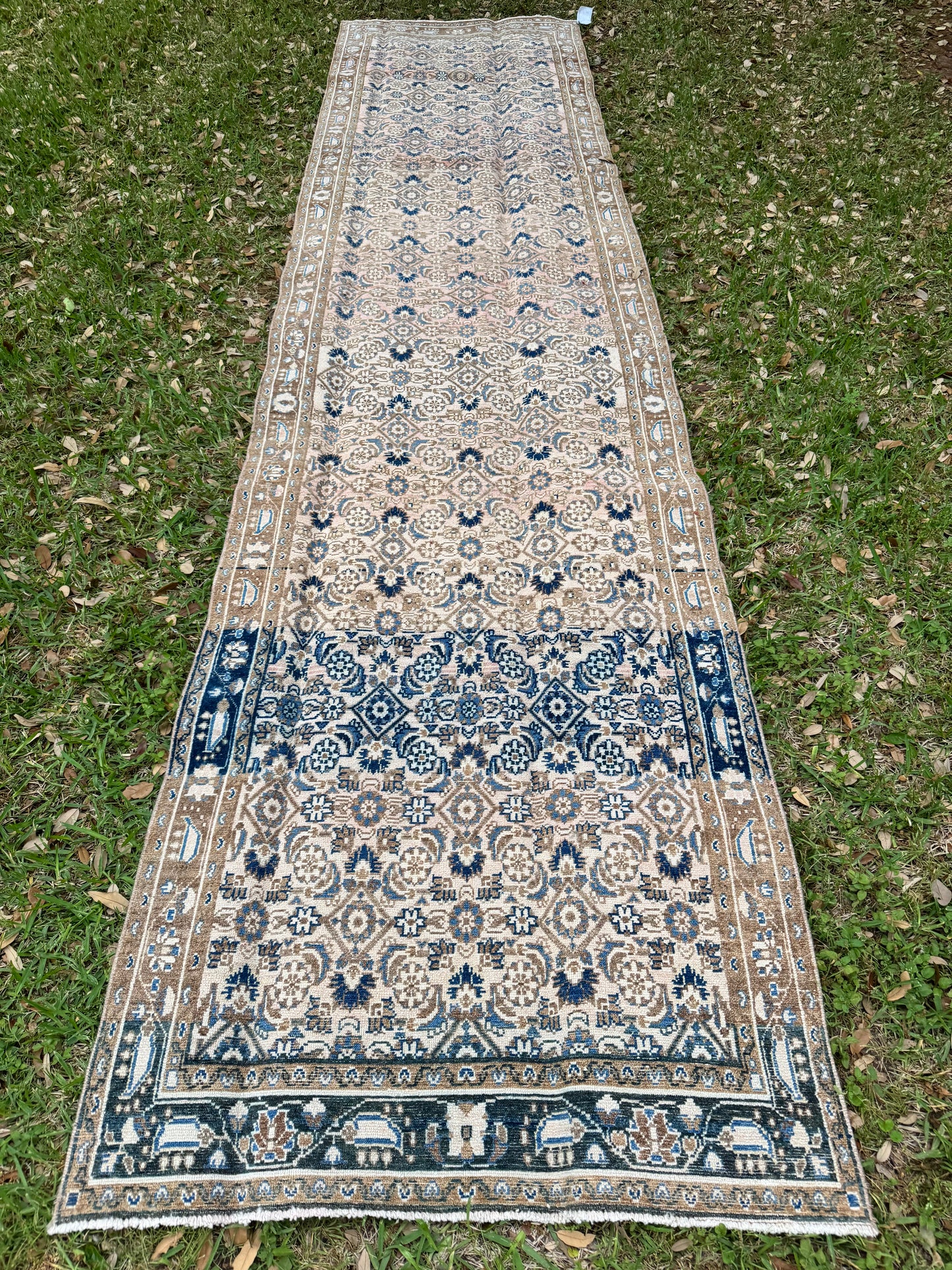 Maxi (3’7” x 14’6”)