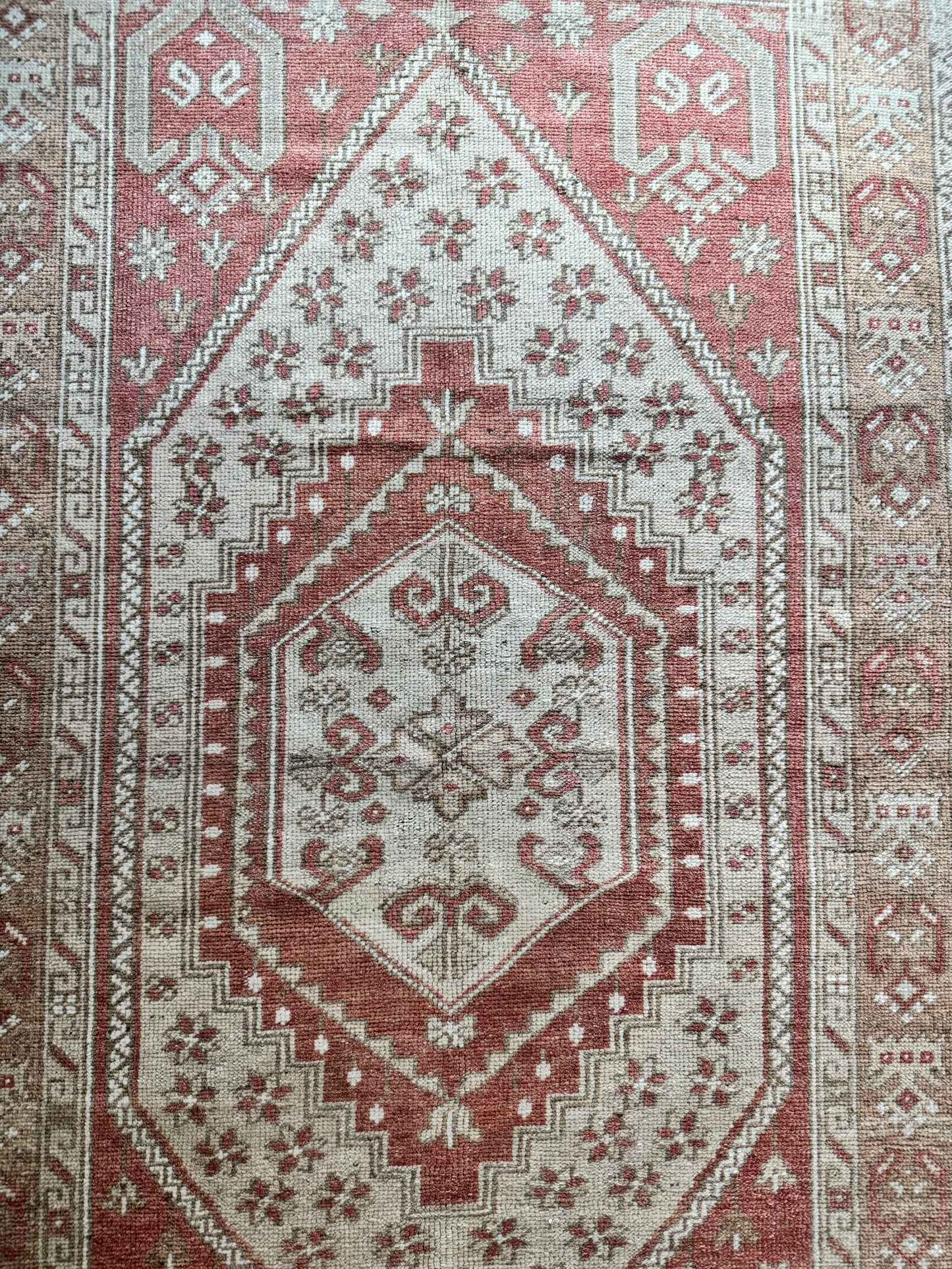 Jenn (3’7” x 6’10”)