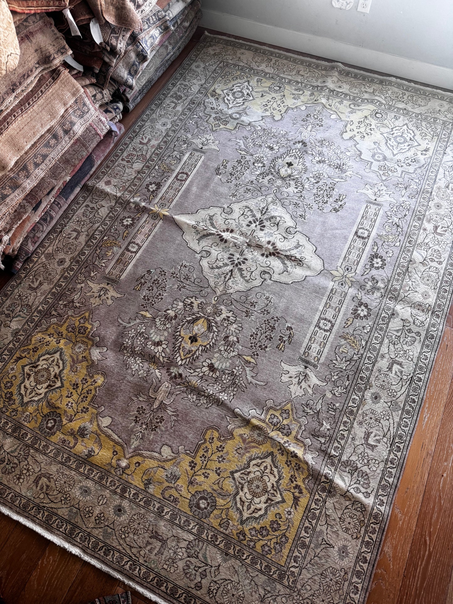 Daisy (9’10” x 6’3”)