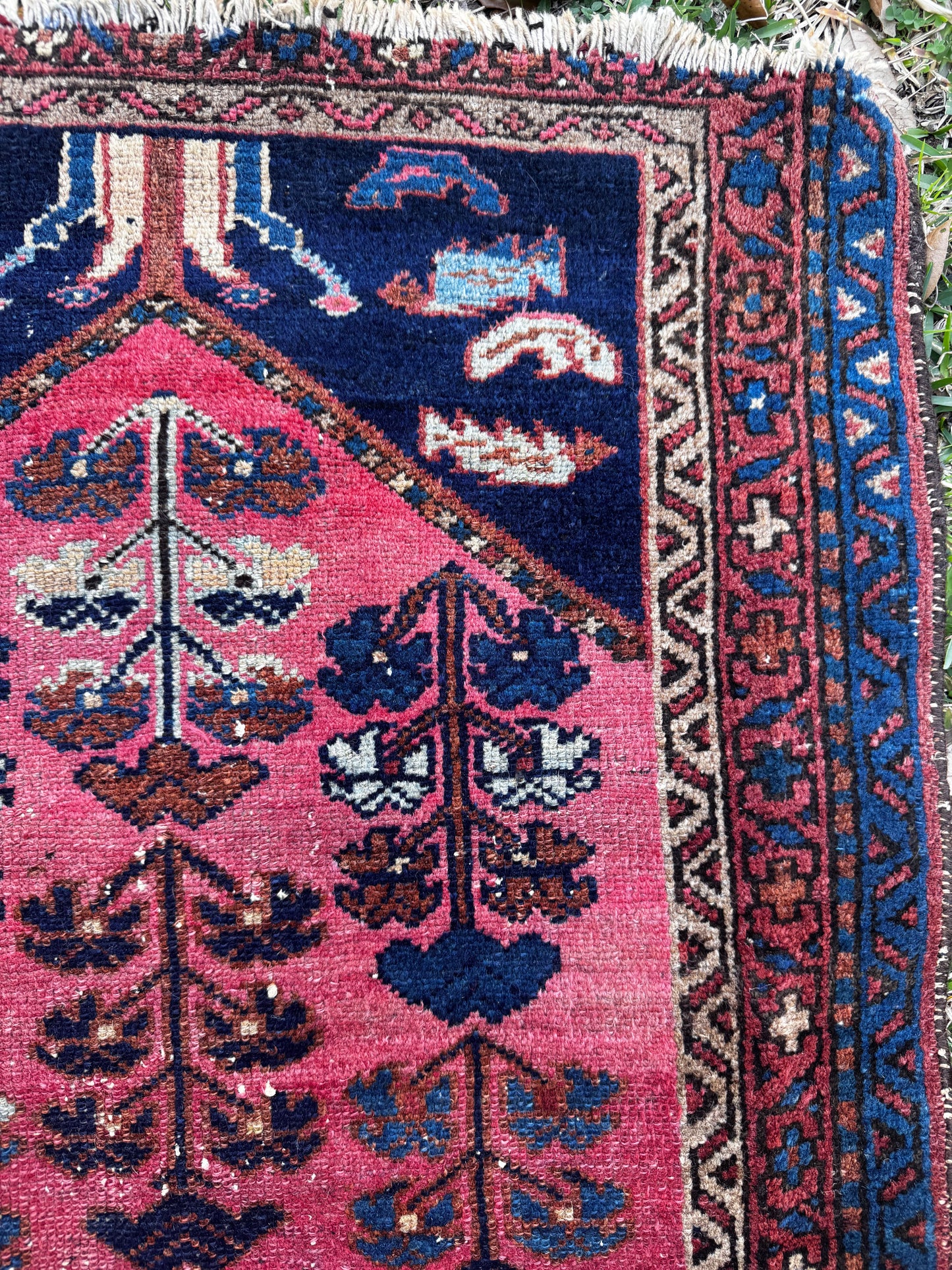 Minnie (2’7” x 4’)