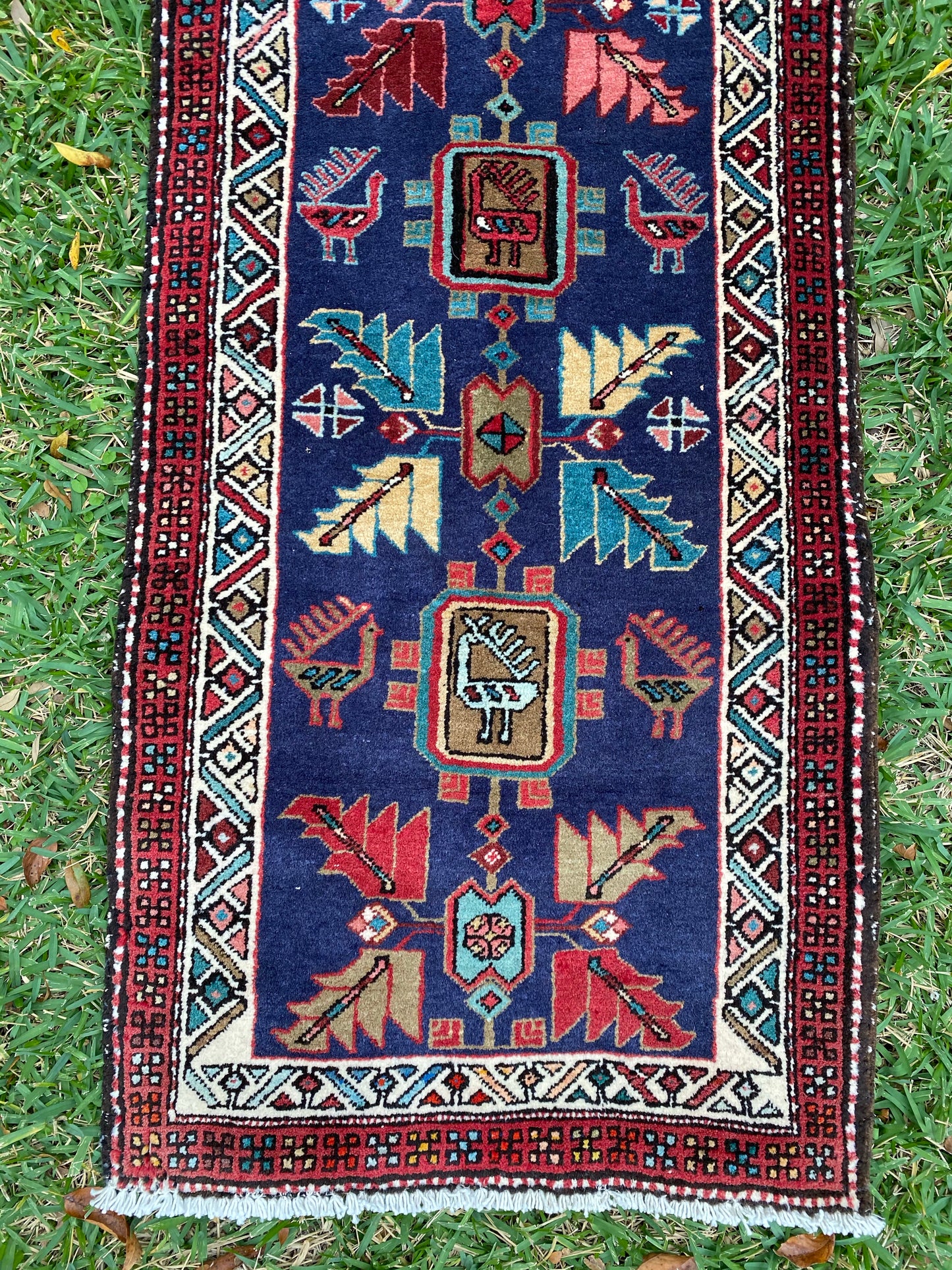 Swift (10’3” x 2’4”)
