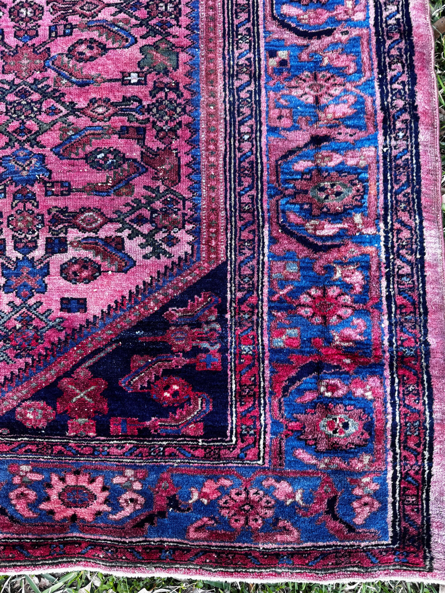 Peony (5’5” x 6’)