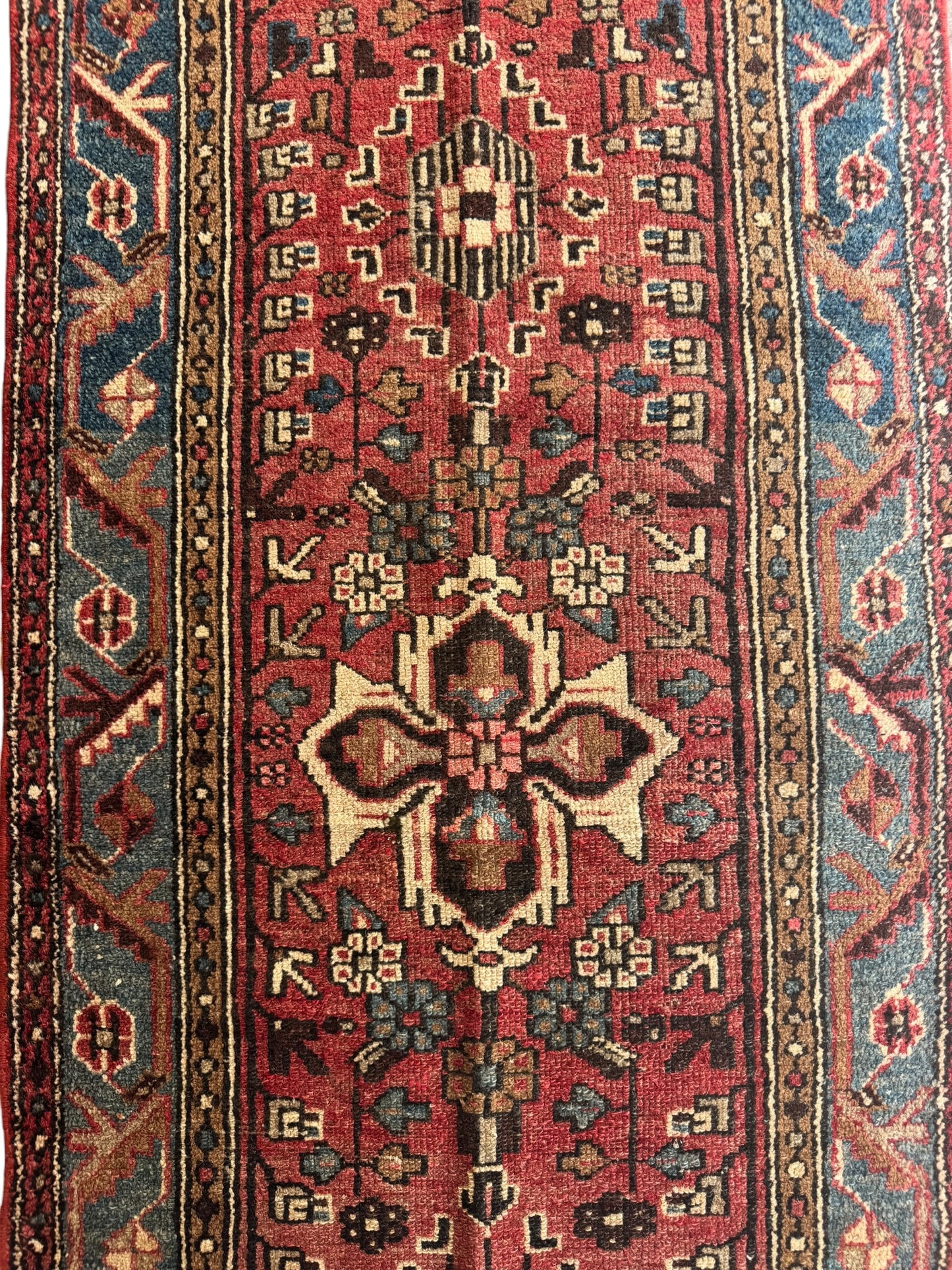 Jasmine (2’11” x 9’3”)