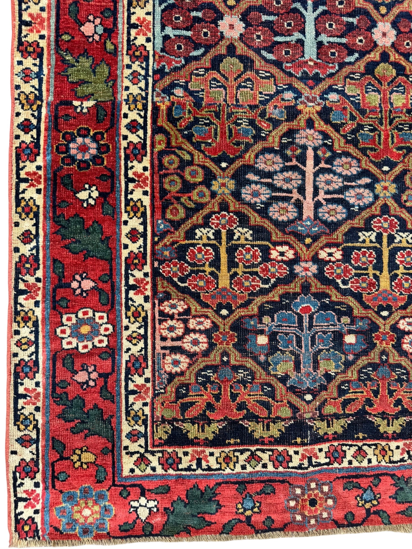 Ruby (14’10” x 3’2”)