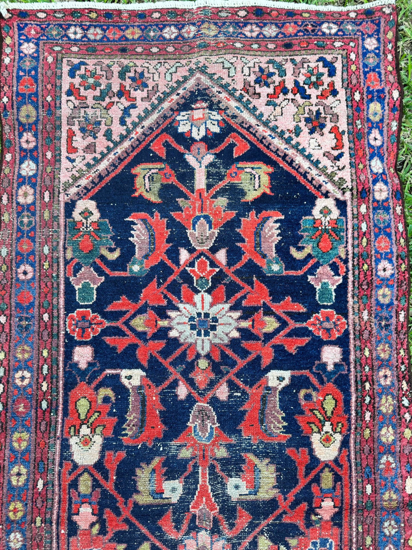 Wylder (13’6” x 3’3”)