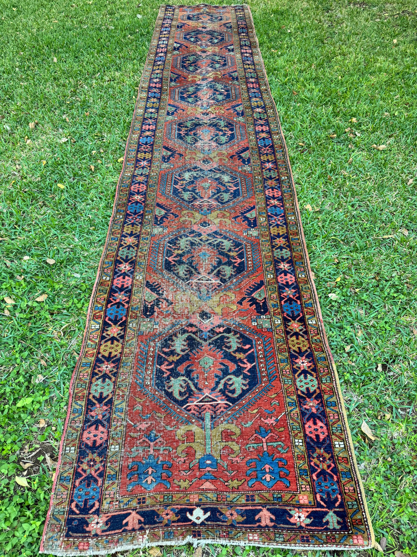 Gustav (3’5” x 17’9”)