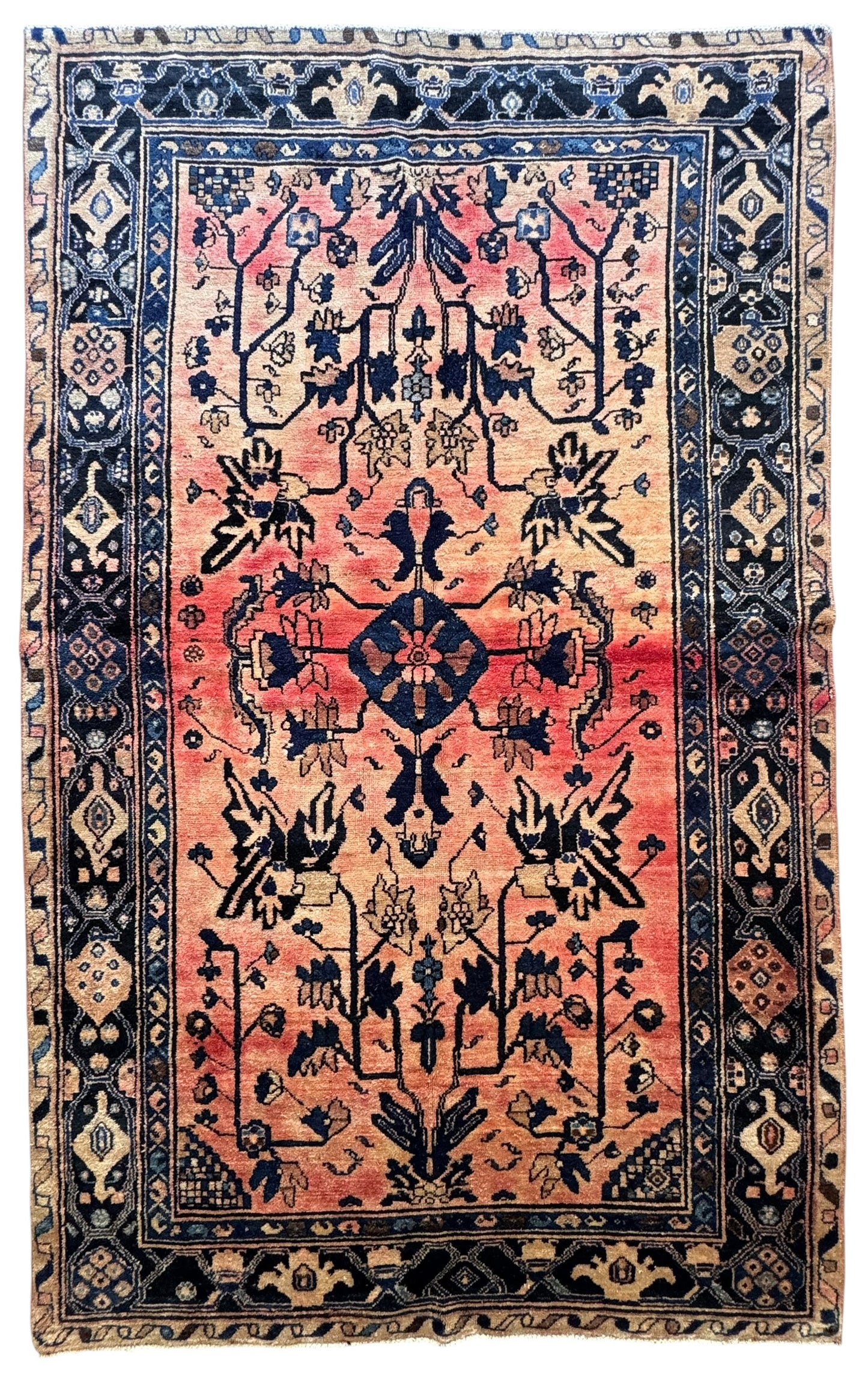 Fae (7’8” x 4’9”)