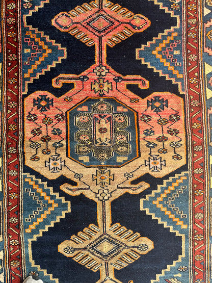 Darwin (6’6” x 4’1”)