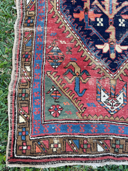 Martina (9’4” x 3’2”)