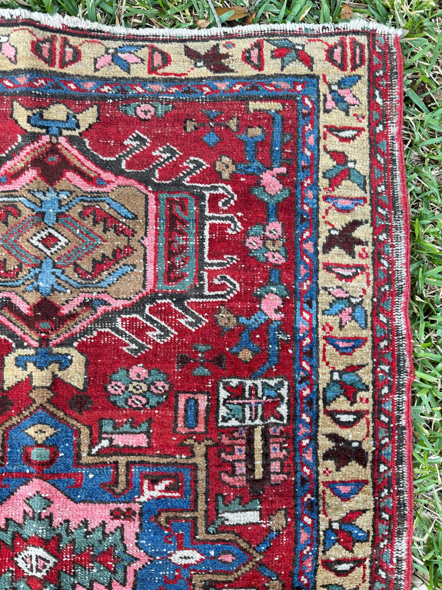 Jayne (2’10” x 4’4”)