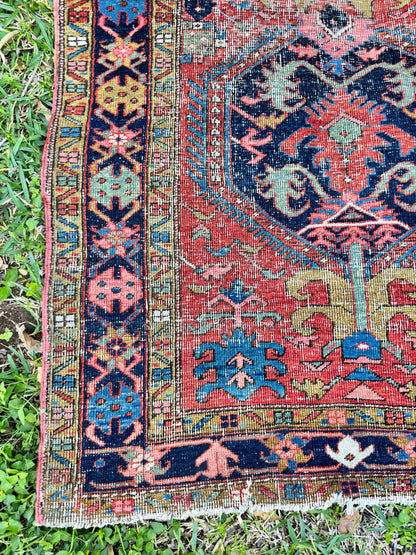 Gustav (3’5” x 17’9”)