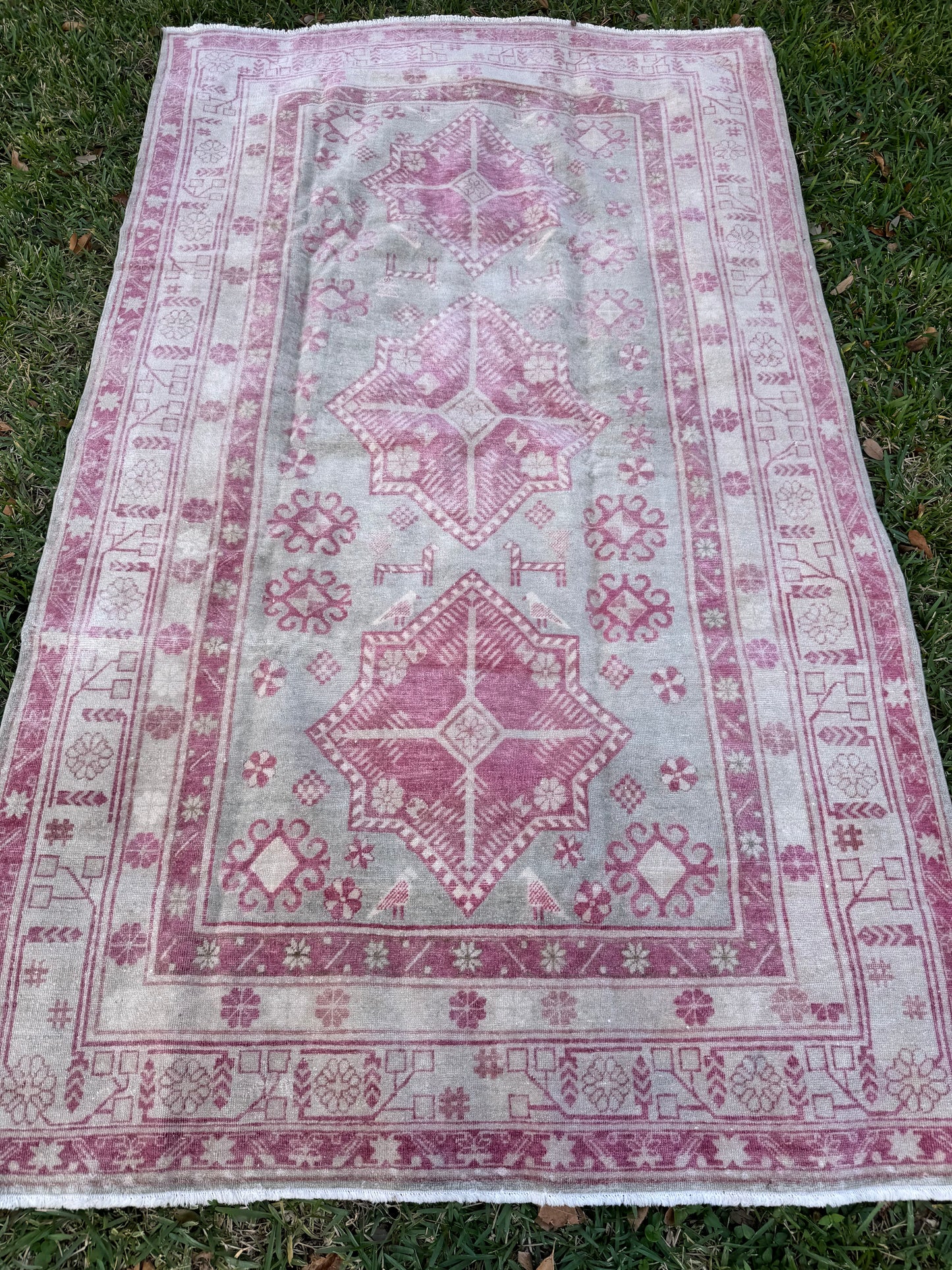 Rosa (5’ x 8’3”)