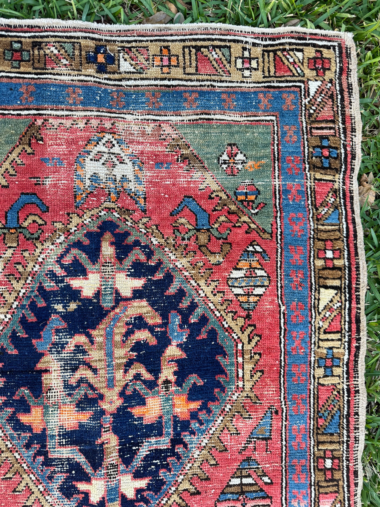 Martina (9’4” x 3’2”)