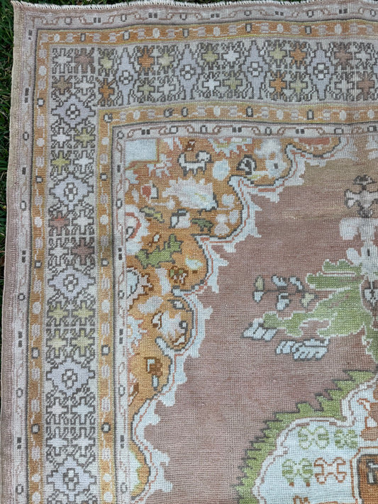 Savanah (5’10”x8’5”)