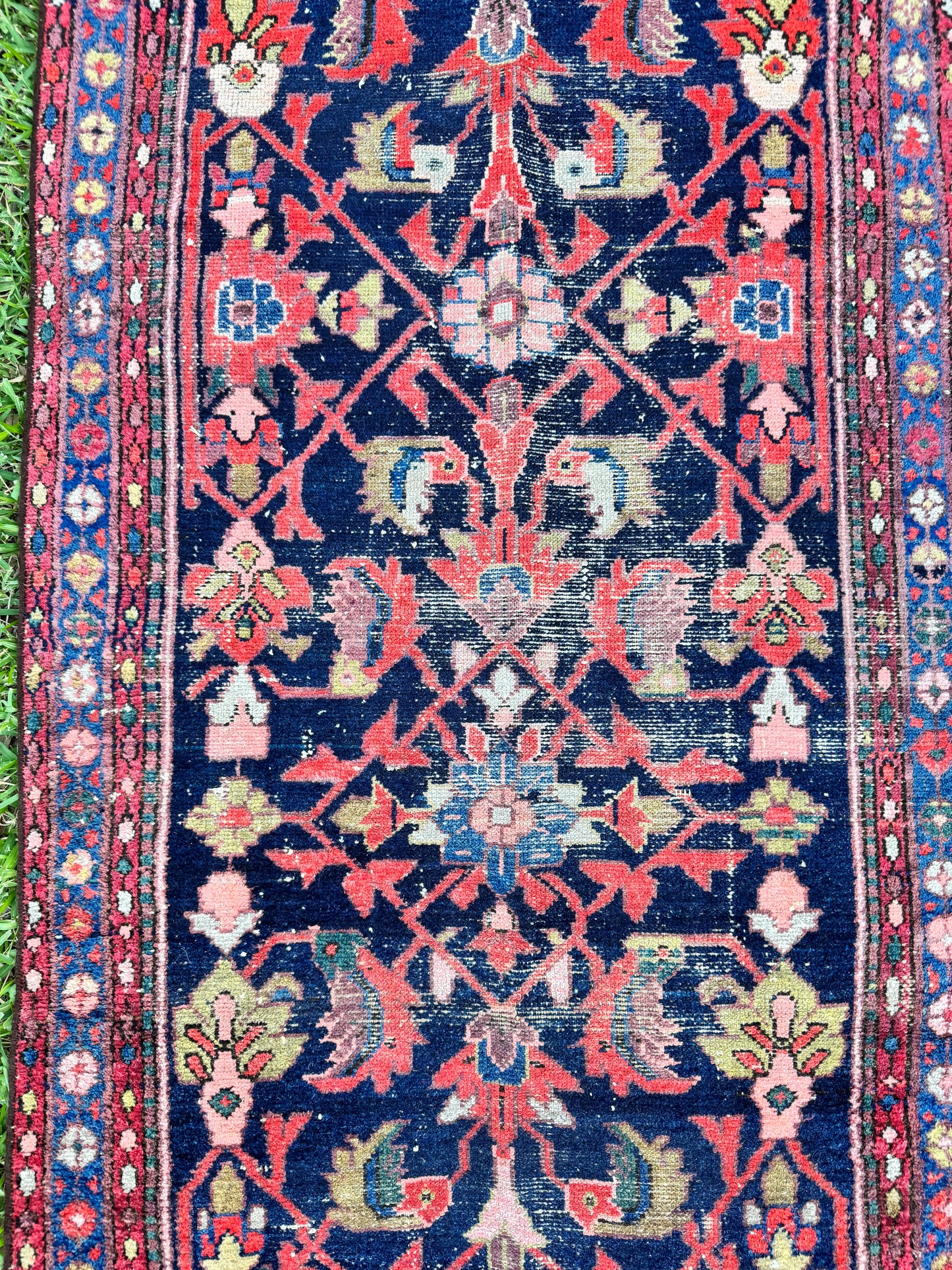 Wylder (13’6” x 3’3”)