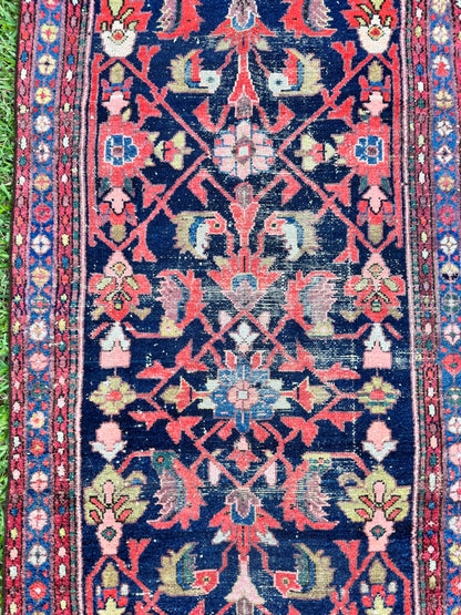 Wylder (13’6” x 3’3”)