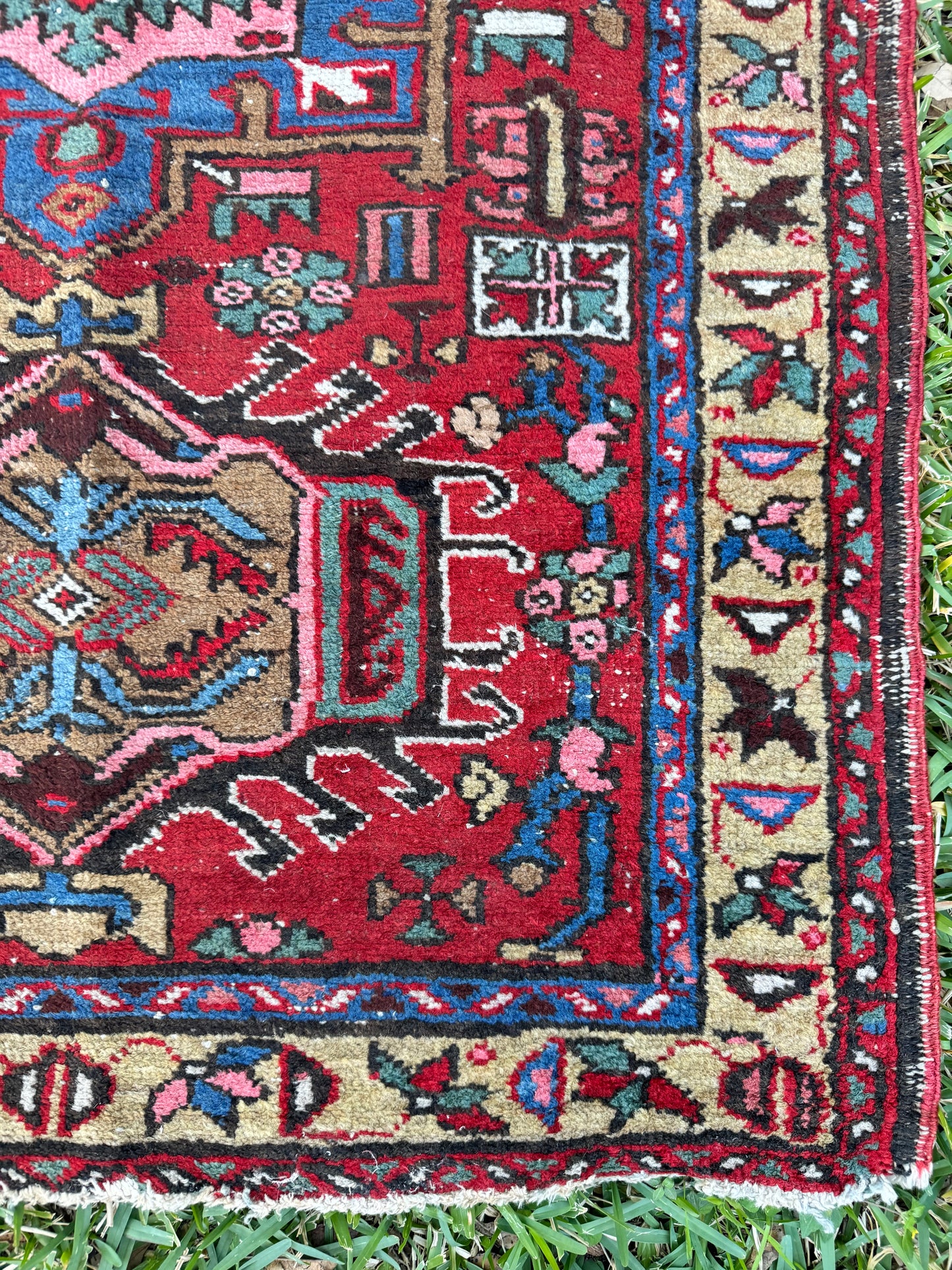 Jayne (2’10” x 4’4”)