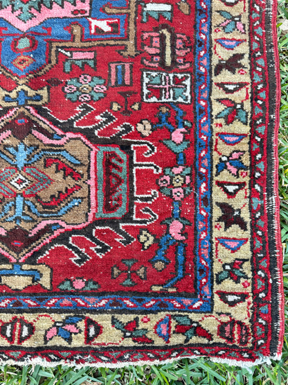 Jayne (2’10” x 4’4”)