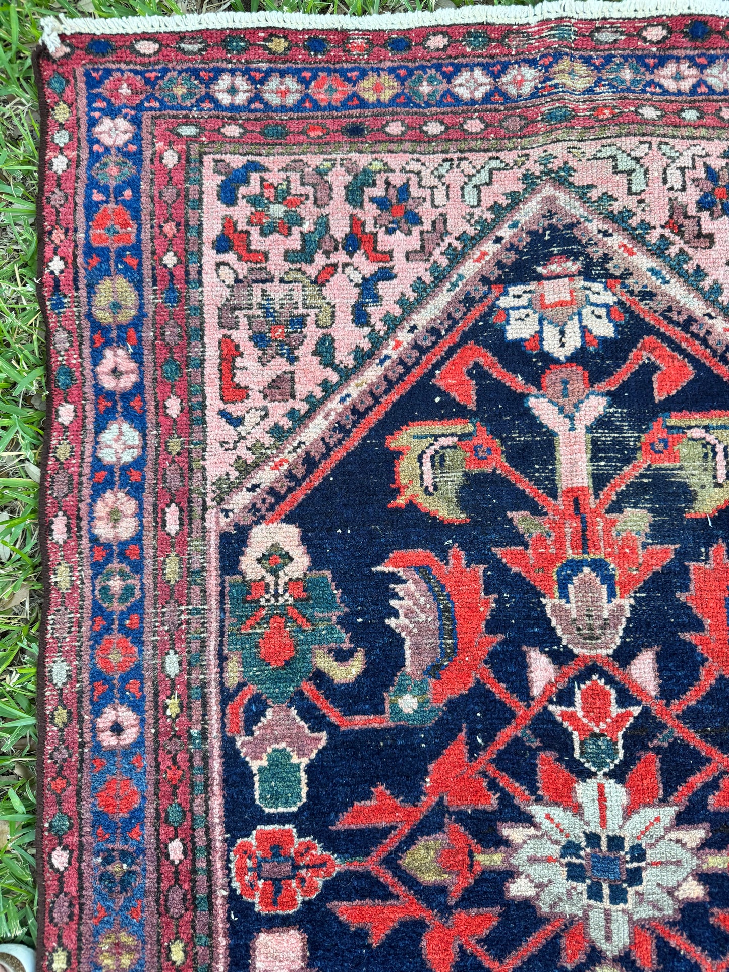 Wylder (13’6” x 3’3”)