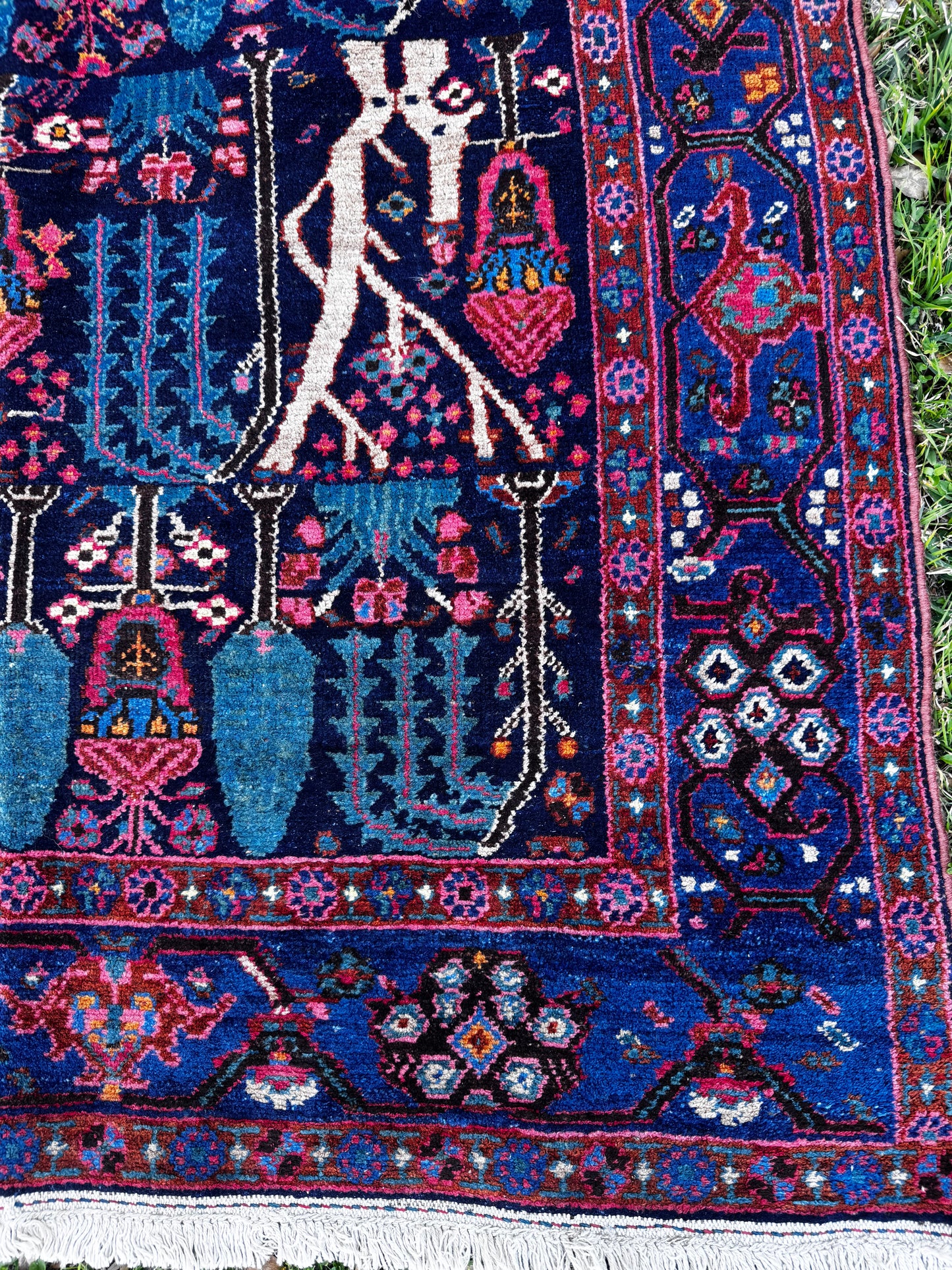 Shanti (4’9” x 7’8”)