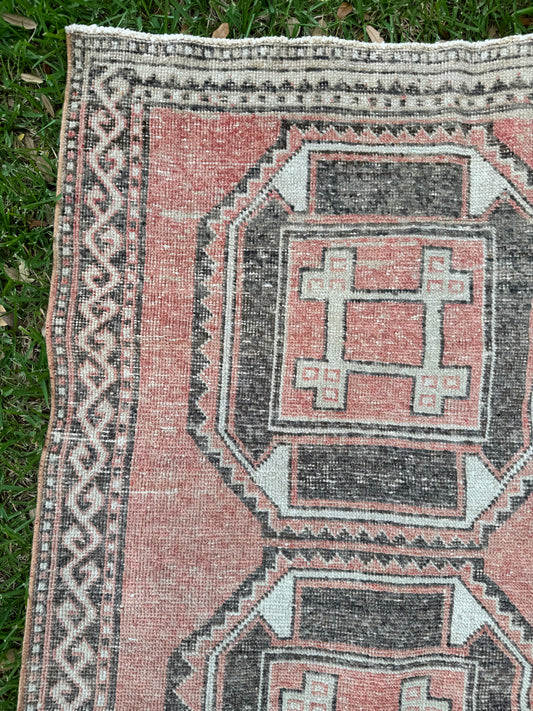 Noah (3’3” x 11’)