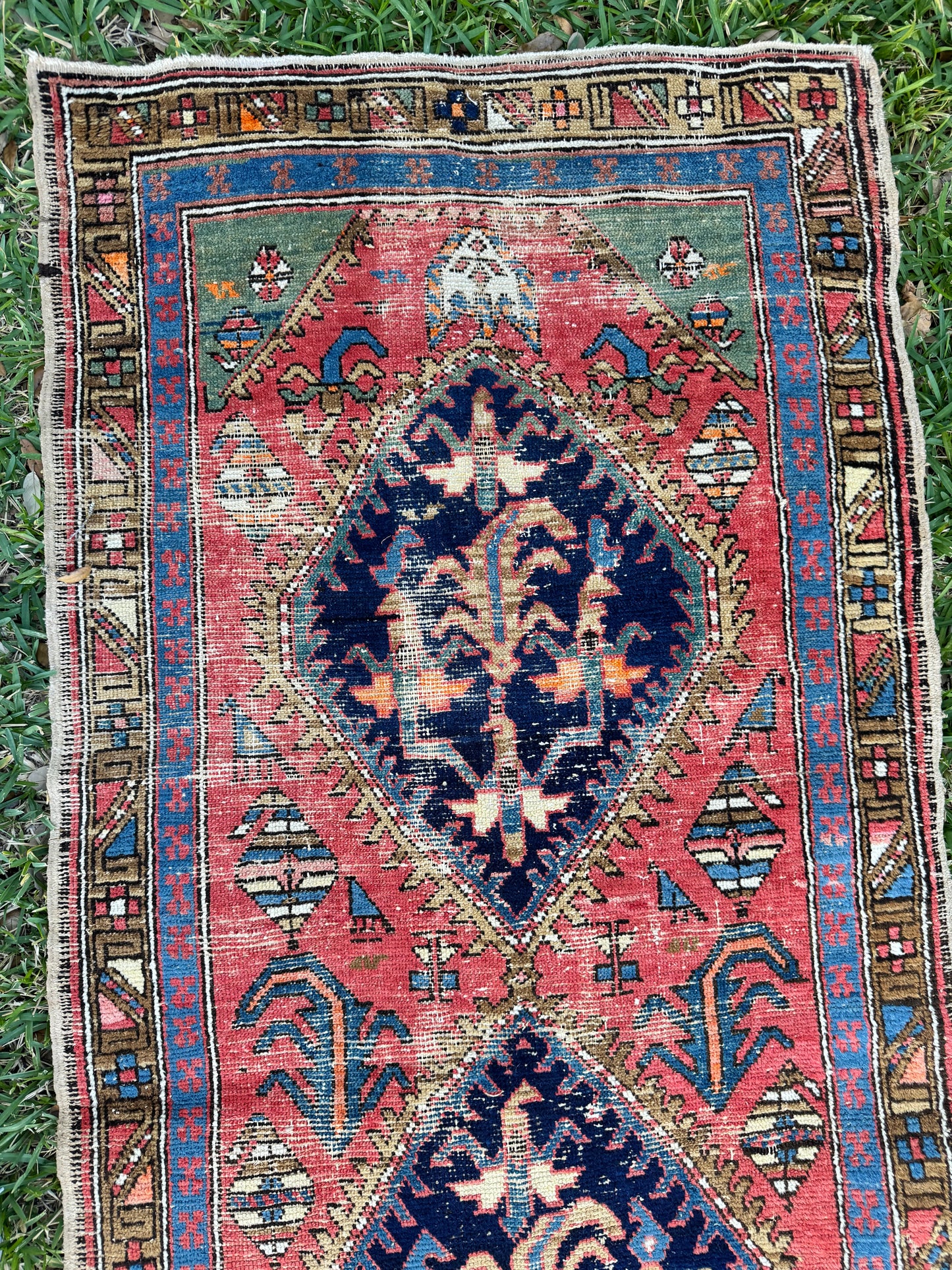 Martina (9’4” x 3’2”)