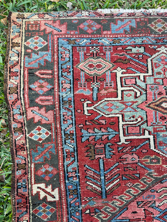 Joanie (4’4” x 3’2”)