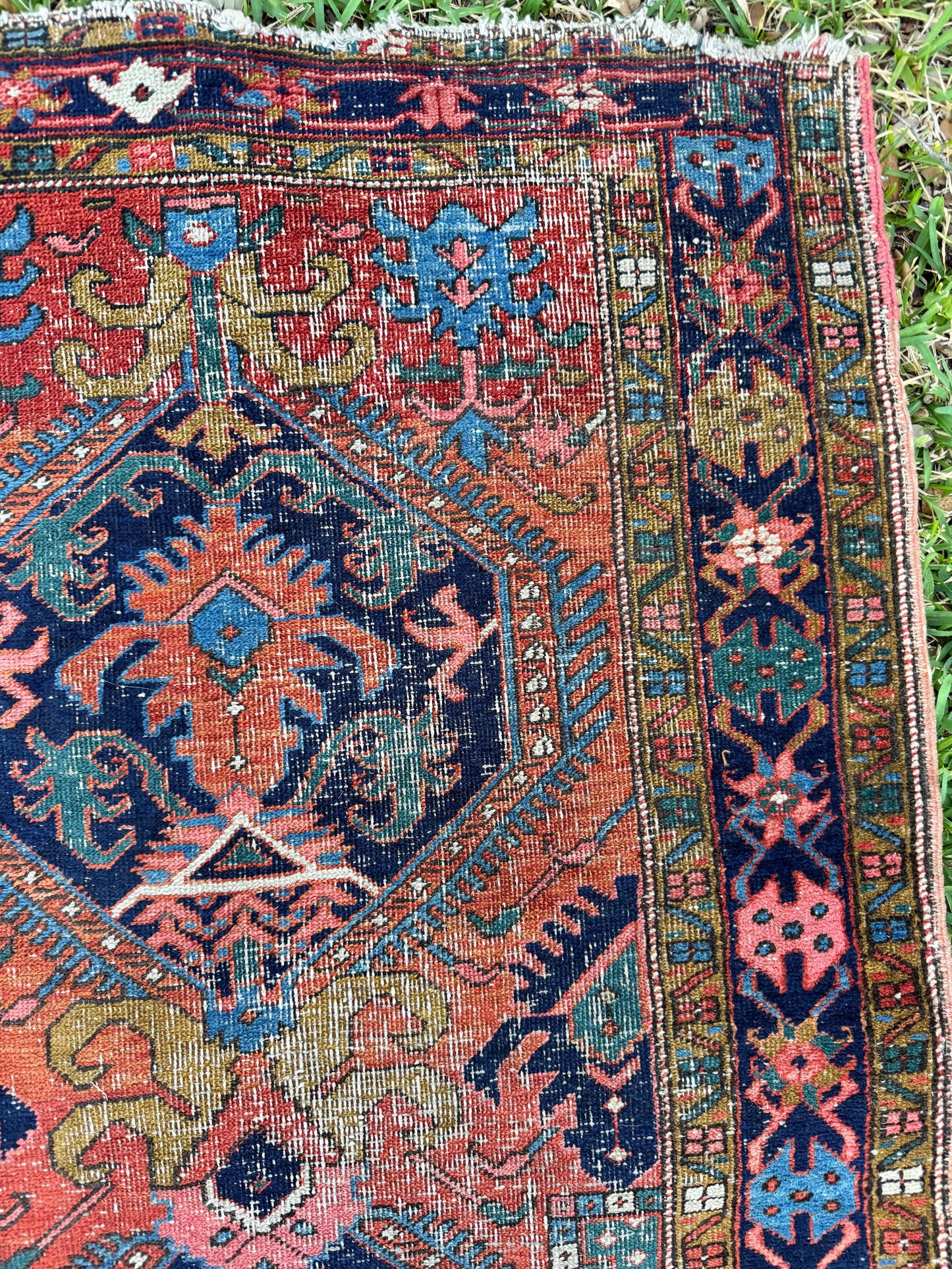 Gustav (3’5” x 17’9”)