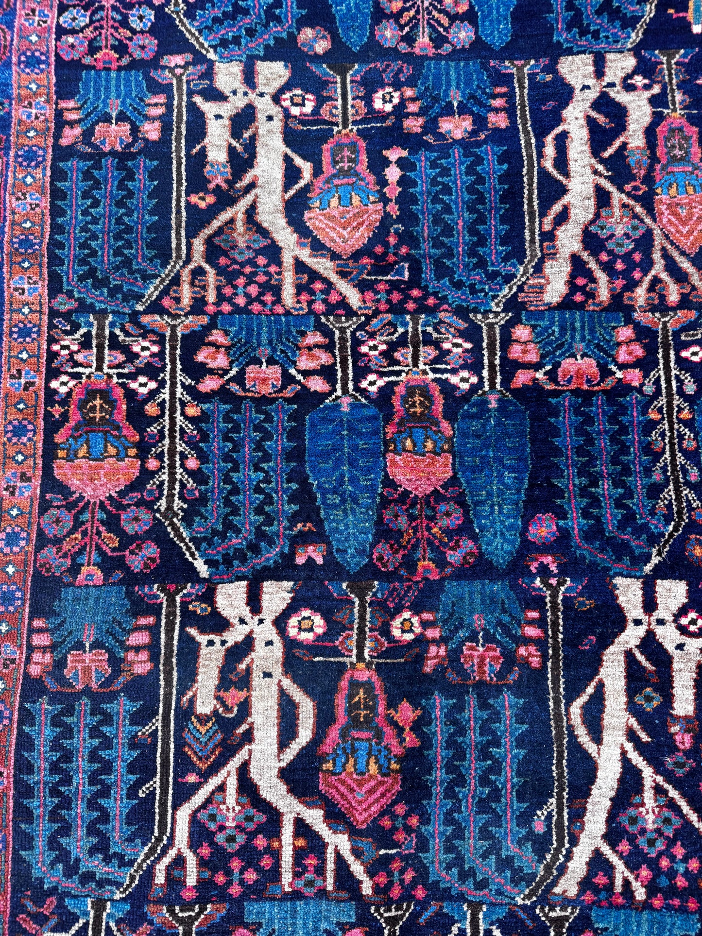 Shanti (4’9” x 7’8”)