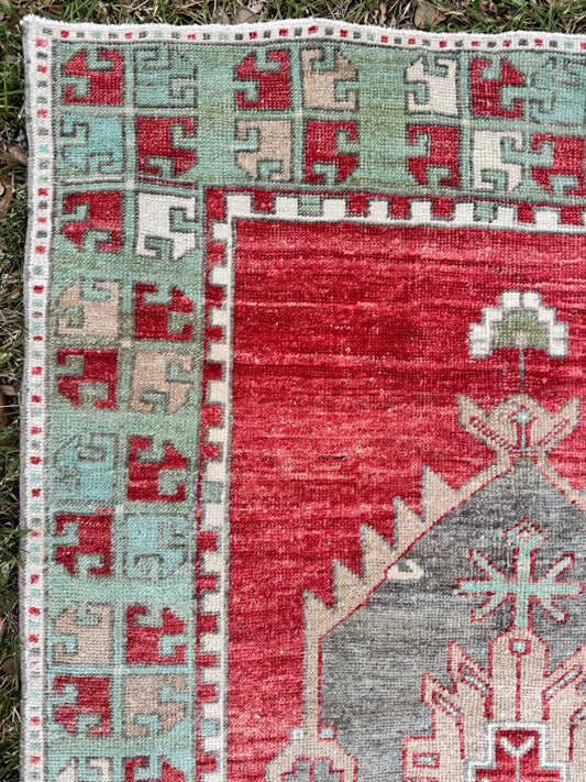 Wynn (3’9” x 12’10”)