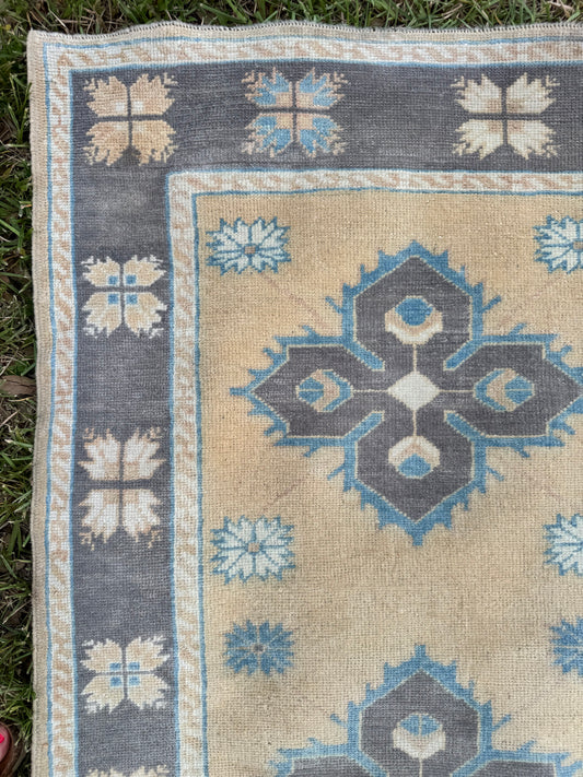 Olly (2’11” x 11’9”)