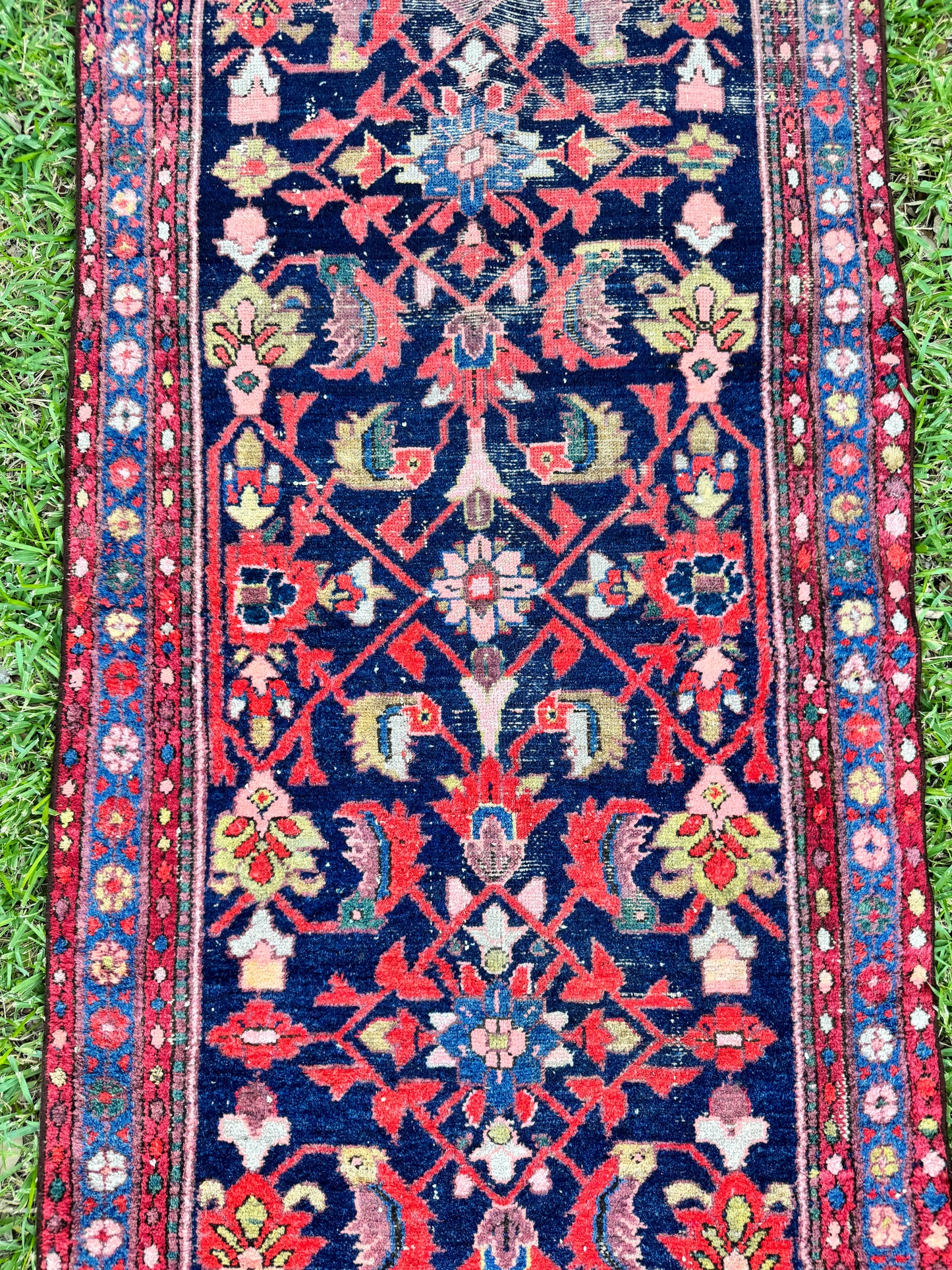 Wylder (13’6” x 3’3”)