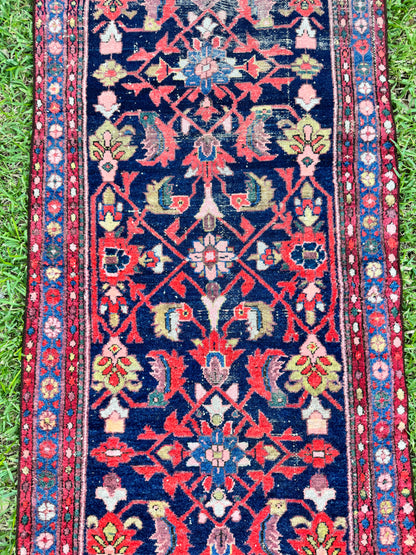 Wylder (13’6” x 3’3”)