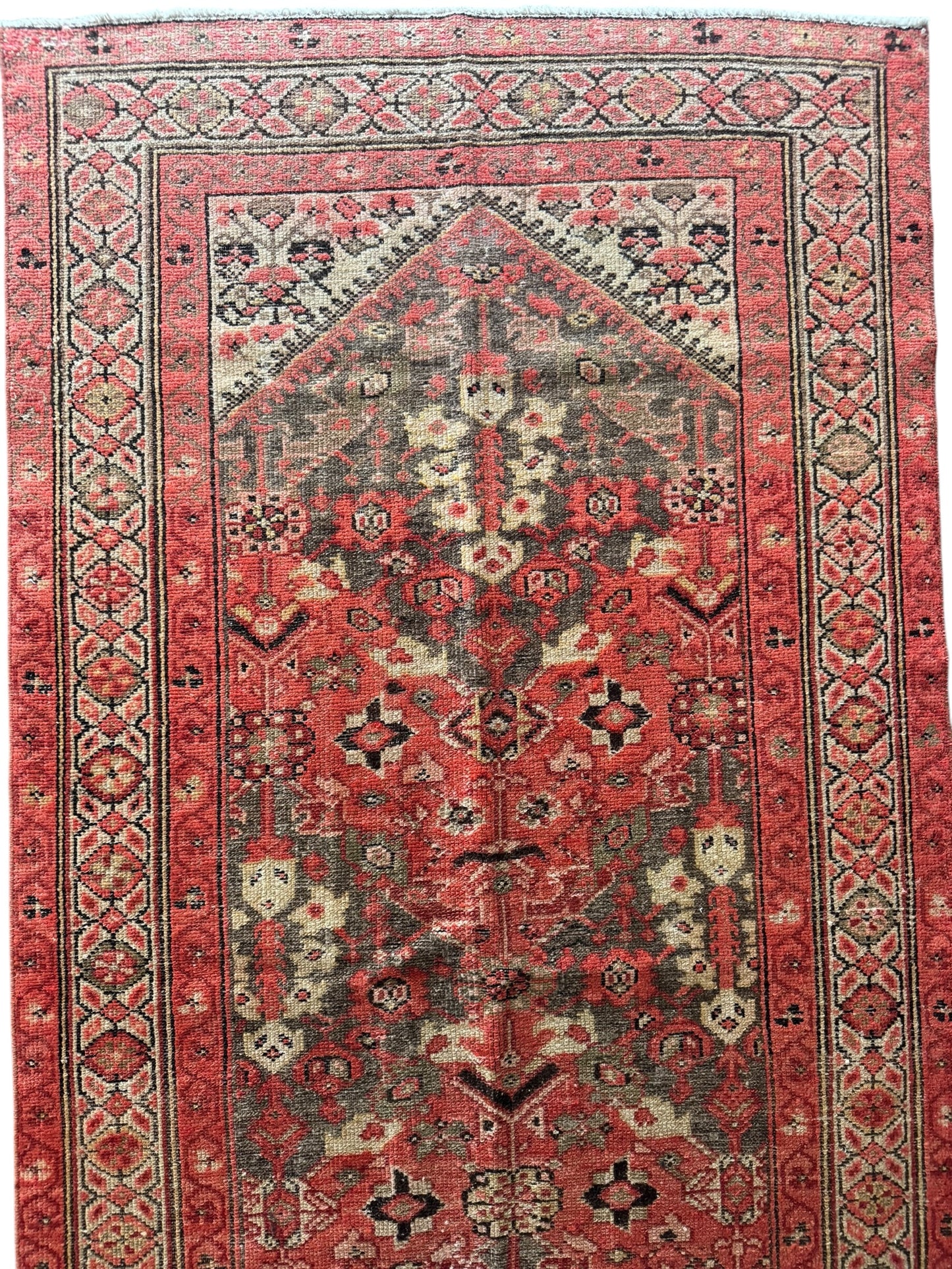 Shera (13’6” x 3’3”)